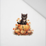 HALLOWEEN CAT - Paneel (60cm x 50cm) Panama 220g