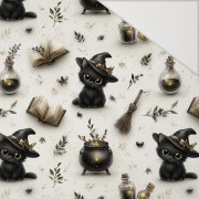 HALLOWEEN WZ. 42 - Hydrophober angerauter Wintersweat