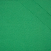 BENETTON (GREEN) - single jersey mit elastan TE210