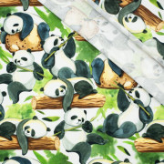 PANDAS AUF BAMBUSSEN - bio single jerset mit Elastan TE210 Sommersweat
