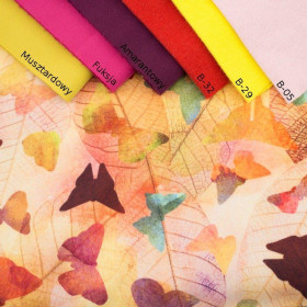 HERBST SCHMETTERLINGE - Softshell