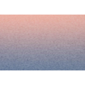 OMBRE / ACID WASH - blau (pfirsich) - SINGLE JERSEY PANEL