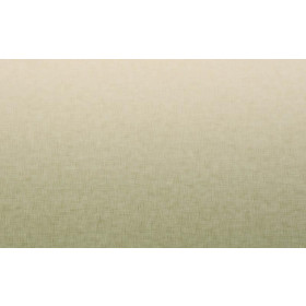 OMBRE / ACID WASH - hellgrün (vanille) - Panel, Viskose Jersey