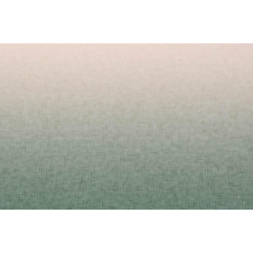 OMBRE / ACID WASH - grün (blass rosa) - SINGLE JERSEY PANEL