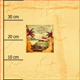 TRAVEL TIME MS. 10 - Paneel (40cm x 40cm) Viskose-Jersey 