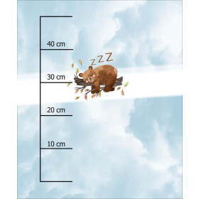 IN DEN WOLKEN SCHLAFENDER BÄR (BÄREN UND SCHMETTERLINGE) - Paneel 50cm x 60cm - Sommersweat