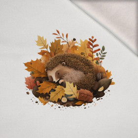 SLEEPING HEDGEHOG - Paneel (60cm x 50cm) Wintersweat angeraut mit Elastan ITY