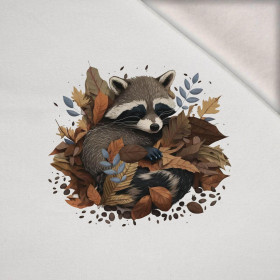 SLEEPING RACCOON - Paneel (60cm x 50cm) Wintersweat angeraut mit Elastan ITY