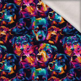 COLORFUL DOGS - Wintersweat angeraut mit Elastan ITY