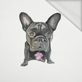 BULLDOG / schwarz - Paneel Sommersweat  50cm x 60cm