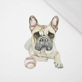 BULLDOG / beige - SINGLE JERSEY PANEL 50cm x 60cm