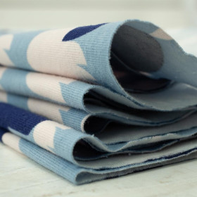 27CM HÄHNE / JAHRMARKTSWELT / baby blue - Single Jersey TE210