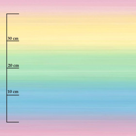 REGENBOGEN STREIFEN XL Ms. 2 - bio single jerset mit Elastan  Sommersweat