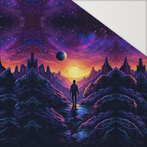 NEON GALAXY WZ.5 - Paneel (60cm x 50cm) Hydrophober angerauter Wintersweat