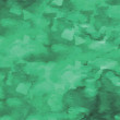 CAMOUFLAGE m. 2 / grün ( GREEN )