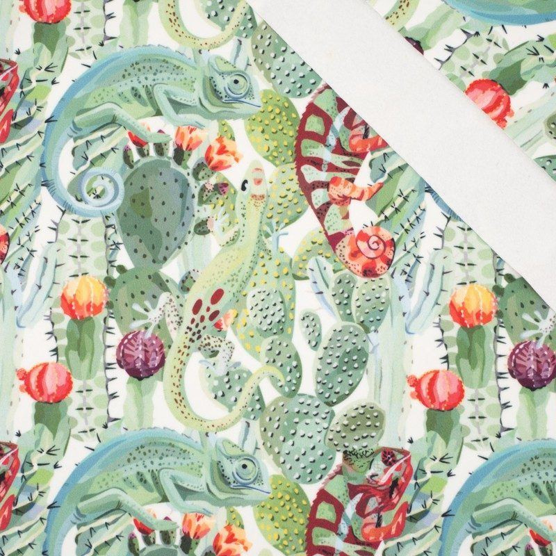 CHAMELEONS - softshell