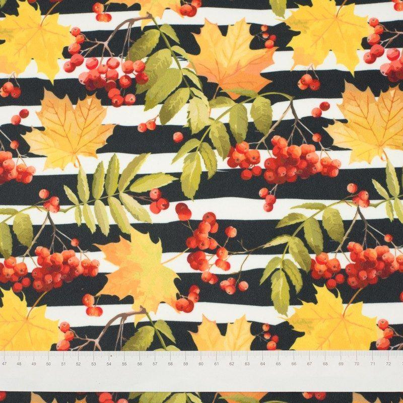 ROWANBERRIES   - softshell