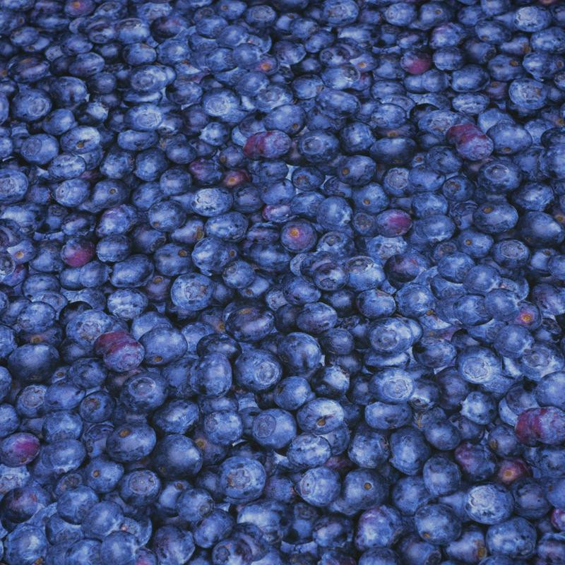 BLUEBERRIES - quick-drying woven fabric