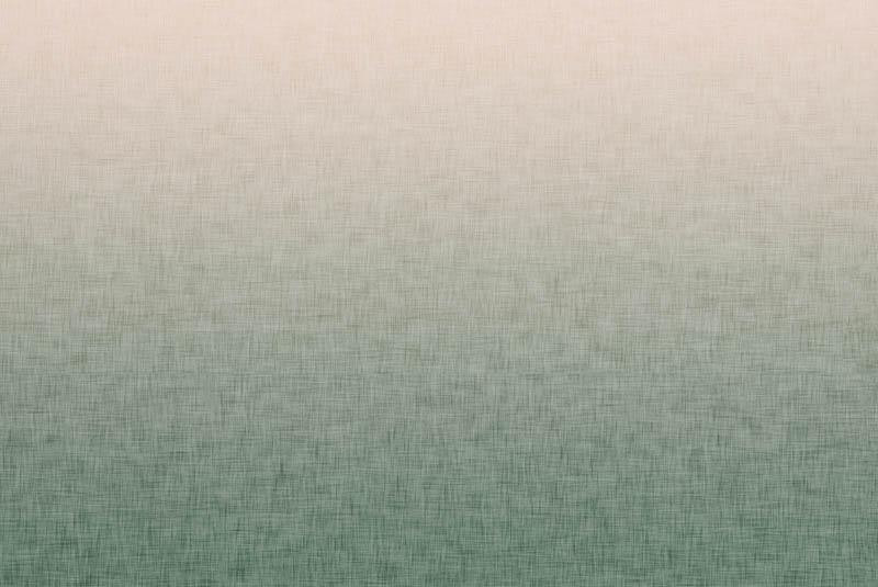OMBRE / ACID WASH - green (pale pink) - panel, looped knit 