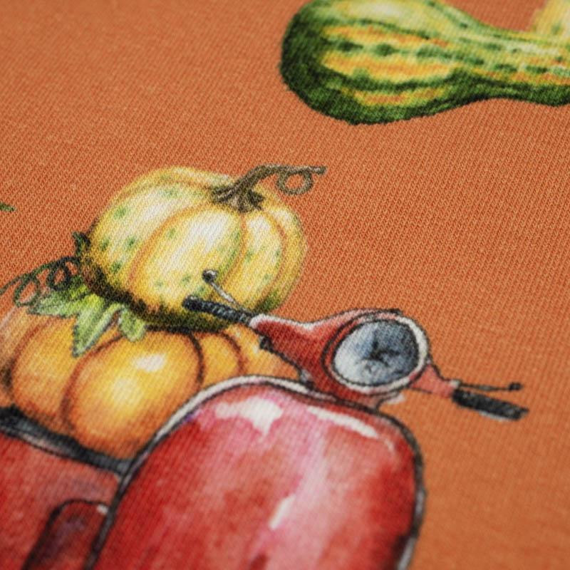 PUMPKINS ON THE SCOOTER (leaves) / orange (PUMPKIN GARDEN) - looped knit fabric