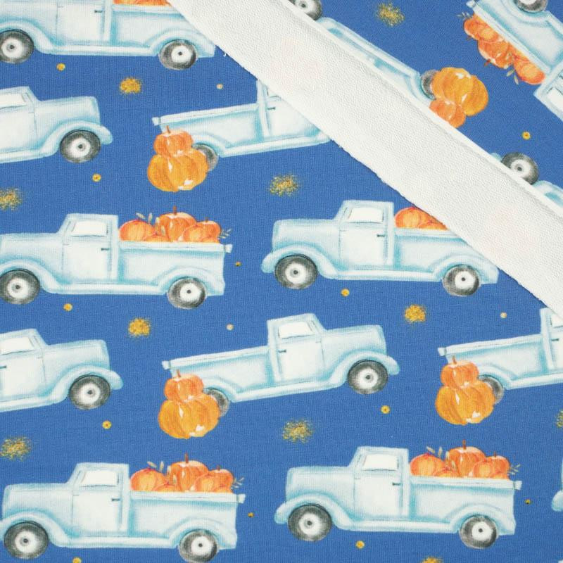 PUMPKINS ON THE PICKUP / GLITTER STARS (PUMPKIN GARDEN) - looped knit fabric