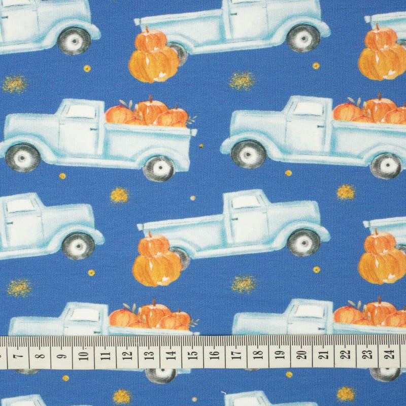 PUMPKINS ON THE PICKUP / GLITTER STARS (PUMPKIN GARDEN) - looped knit fabric