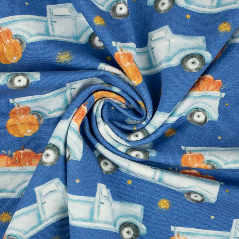 PUMPKINS ON THE PICKUP / GLITTER STARS (PUMPKIN GARDEN) - looped knit fabric