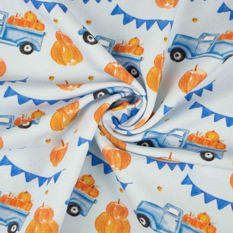 PUMPKINS ON THE PICKUP /  ROSETTES (PUMPKIN GARDEN) - looped knit fabric