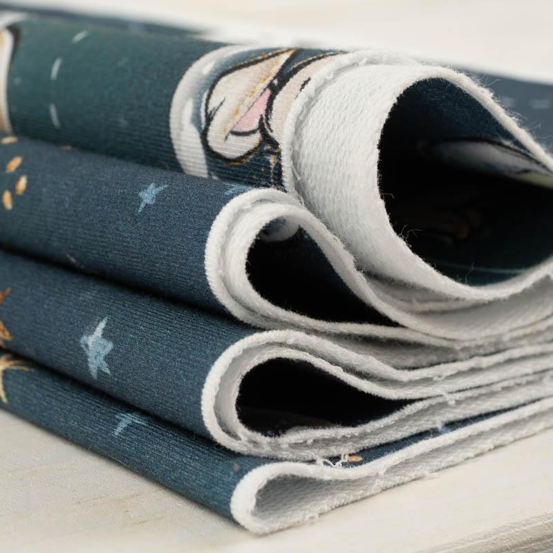 SPACE CUTIES pat. 3 (CUTIES IN THE SPACE) - looped knit fabric