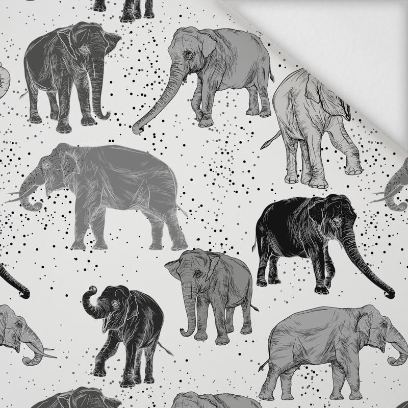 ELEPHANTS / white - softshell