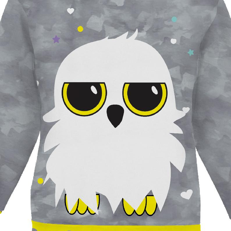 CHILDREN'S (NOE) SWEATSHIRT - OWL CHRISTINA - sewing set