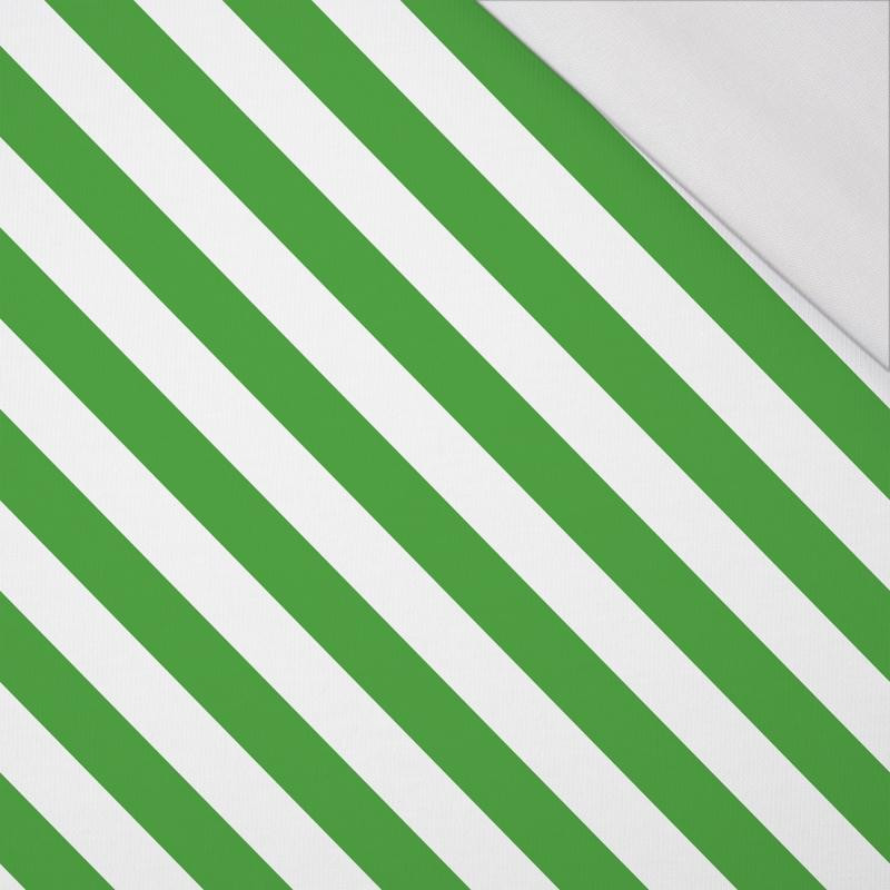DIAGONAL STRIPES / green - single jersey 