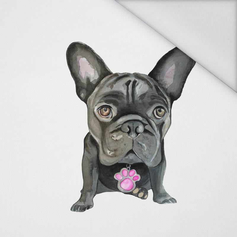 BULLDOG / black - panel Waterproof woven fabric (50cm x 60cm)