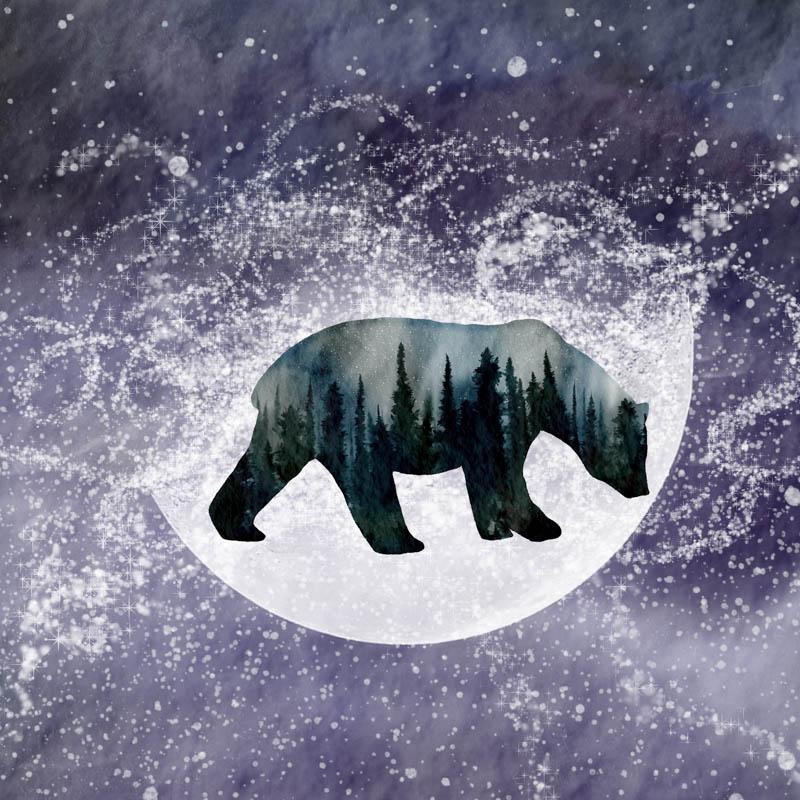 BEAR (GALAXY) - panel panoramic / BIG