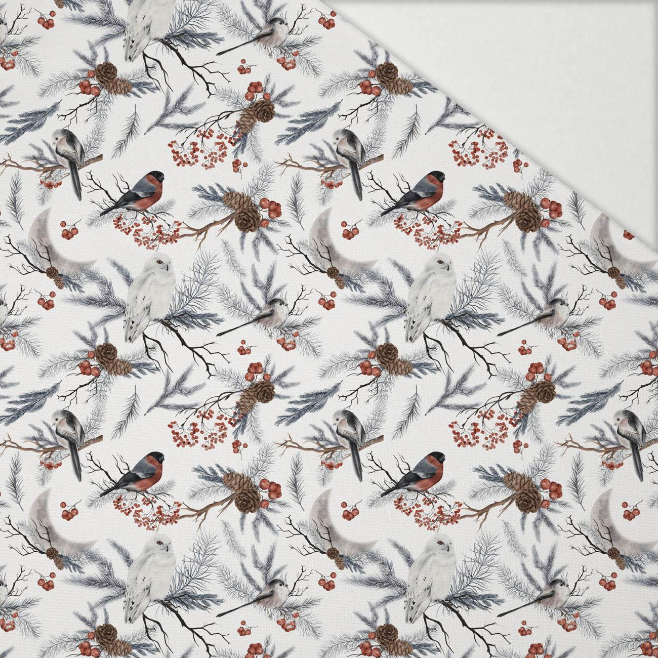 WINTER BIRDS pat. 1 (WINTER IN PARK) - Hydrophobic brushed knit