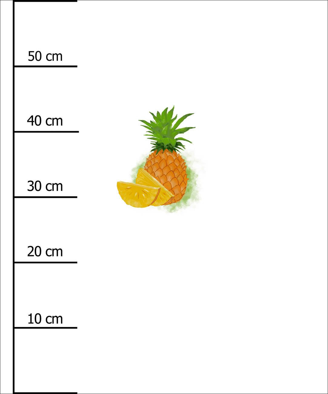 PINEAPPLE - panel (60cm x 50cm)