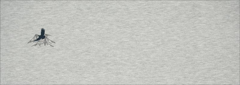 EAGLE (ADVENTURE) / melange light grey - Panoramic panel - looped knit fabric with elastane