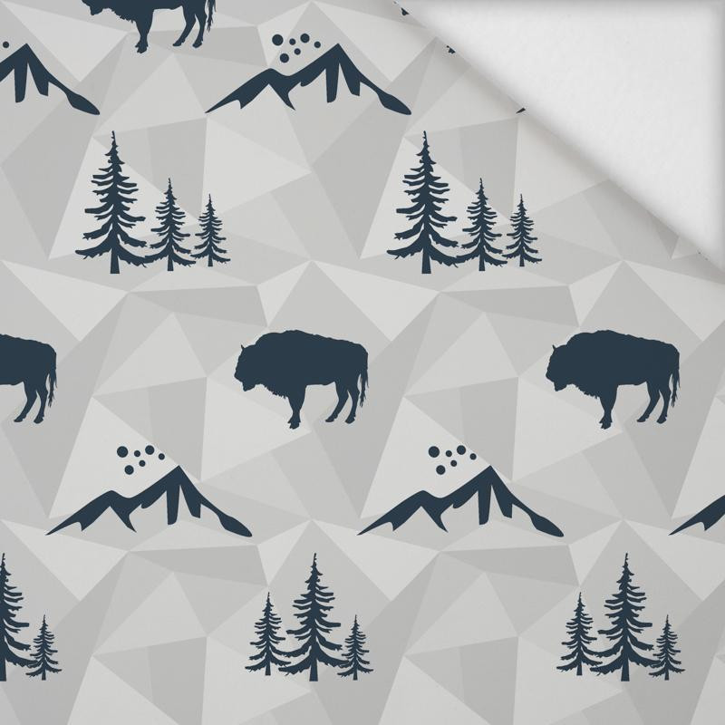 PRIMEVAL FOREST (adventure) / grey - softshell