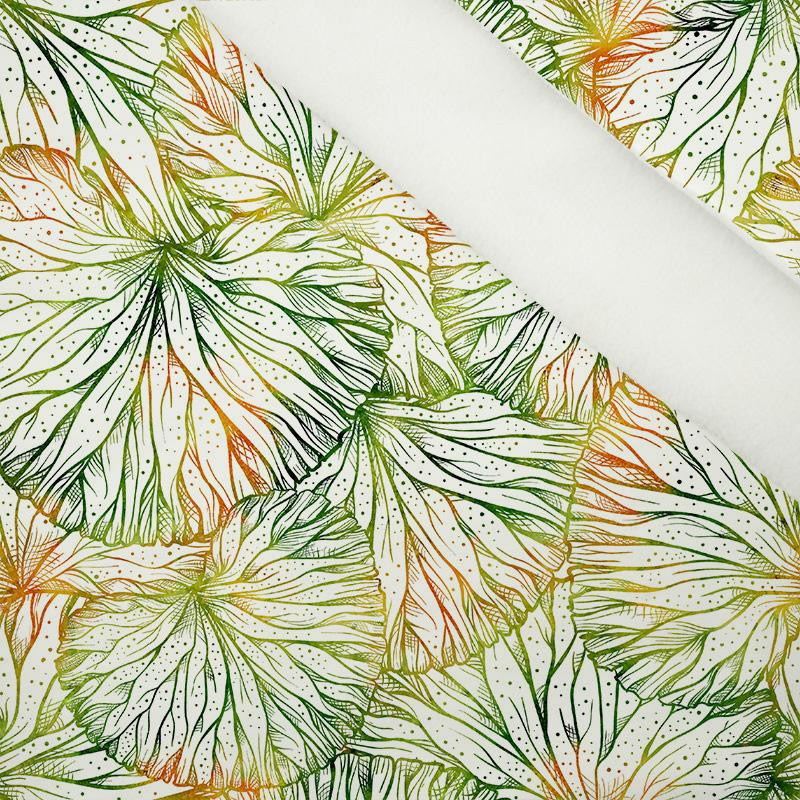 LILY PADS - softshell