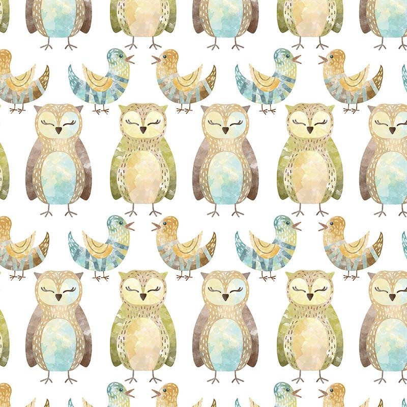 OWLS AND BIRDS (FOREST ANIMALS)