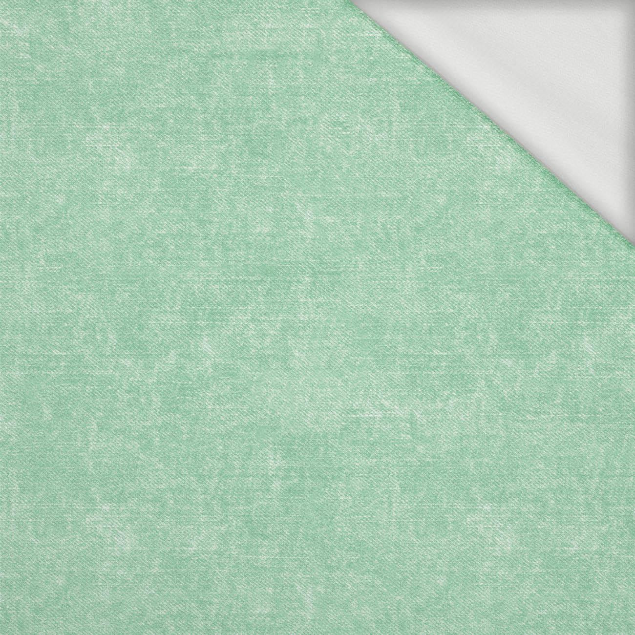 ACID WASH / MINT - looped knit fabric