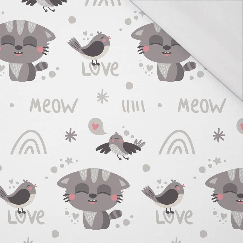 CATS AND SPARROWS (CATS WORLD) / white - single jersey with elastane 