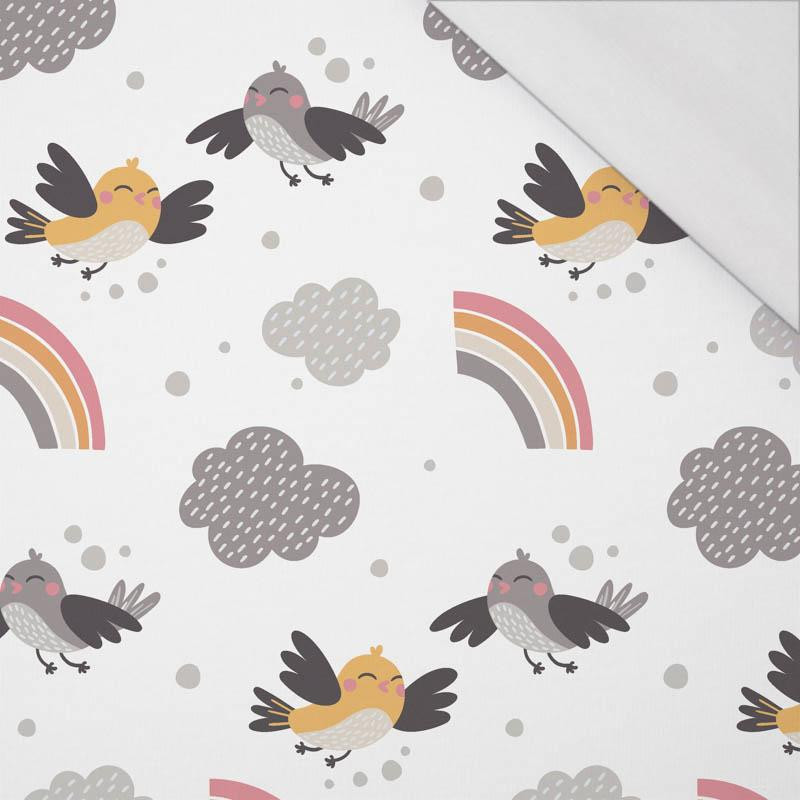 SPARROWS / rainbow (CATS WORLD) / white - single jersey with elastane 