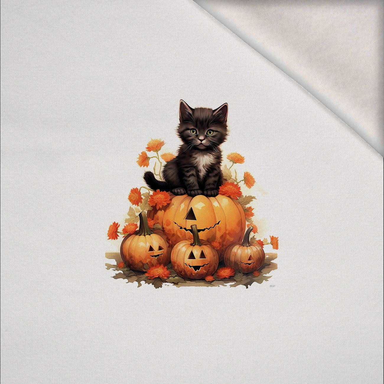 HALLOWEEN CAT -  PANEL (60cm x 50cm) brushed knitwear with elastane ITY