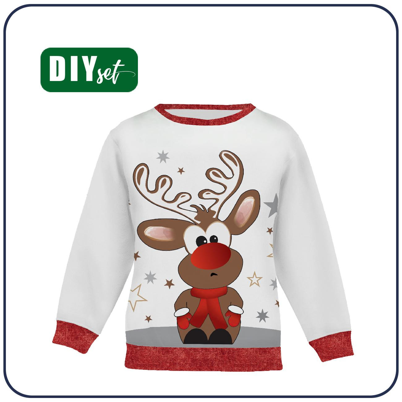 CHILDREN'S (NOE) SWEATSHIRT - REINDEER ROBBIE - sewing set