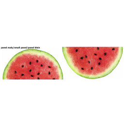 WATERMELON - circle skirt panel 