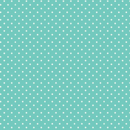 WHITE DOTSIES / mint 