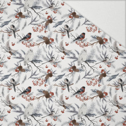 WINTER BIRDS pat. 1 (WINTER IN PARK) - Hydrophobic brushed knit