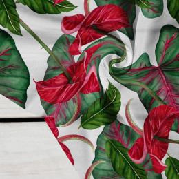 ANTHURIUM - Crepe