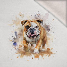 WATERCOLOR BULLDOG -  PANEL (60cm x 50cm) brushed knitwear with elastane ITY